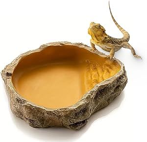 Water Dish for Reptiles
