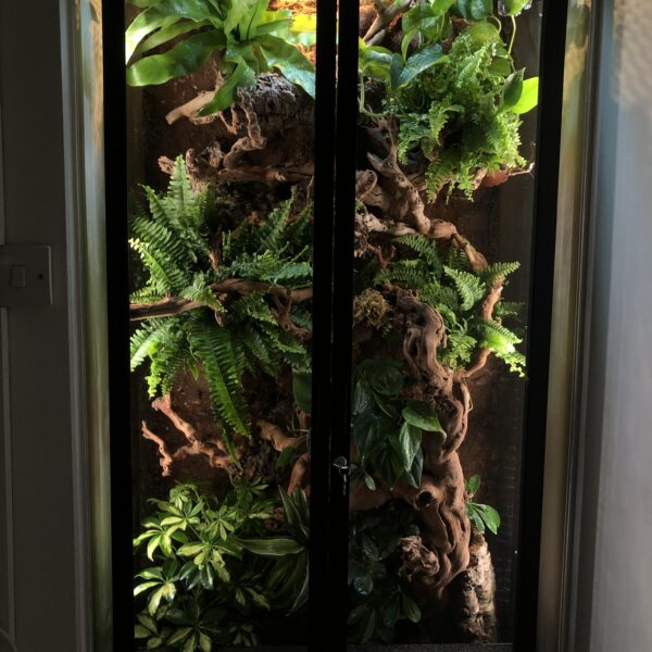 XXL Terrarium