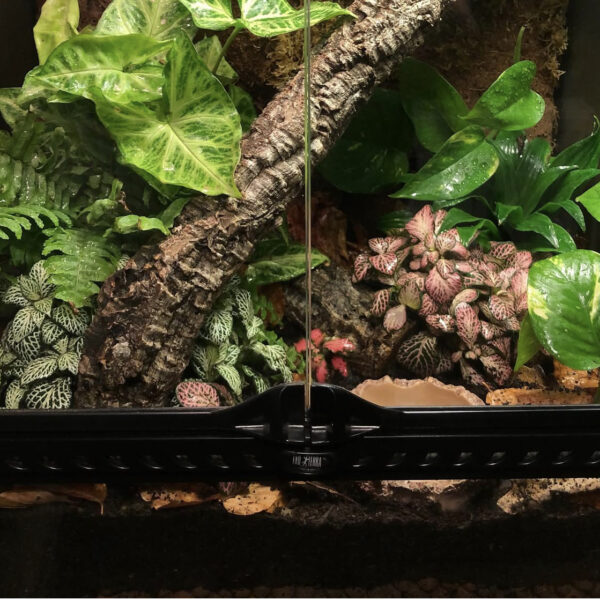 Small Terrarium