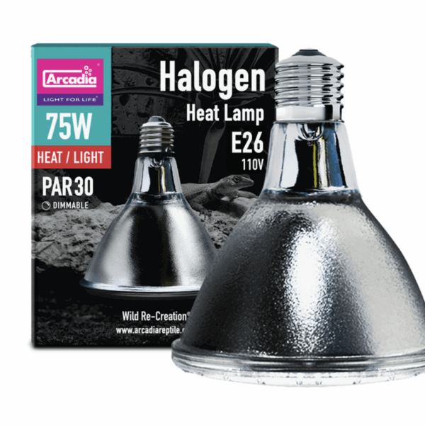 Heat Lamp 75W