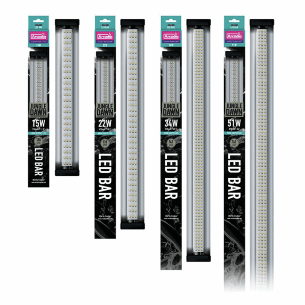 Arcadia Jungle Dawn LED Bar