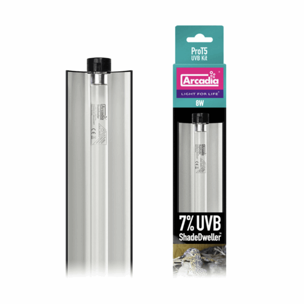 UV Light